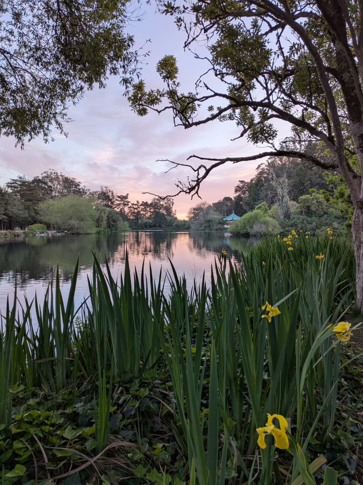 Sunset at the lake in SF